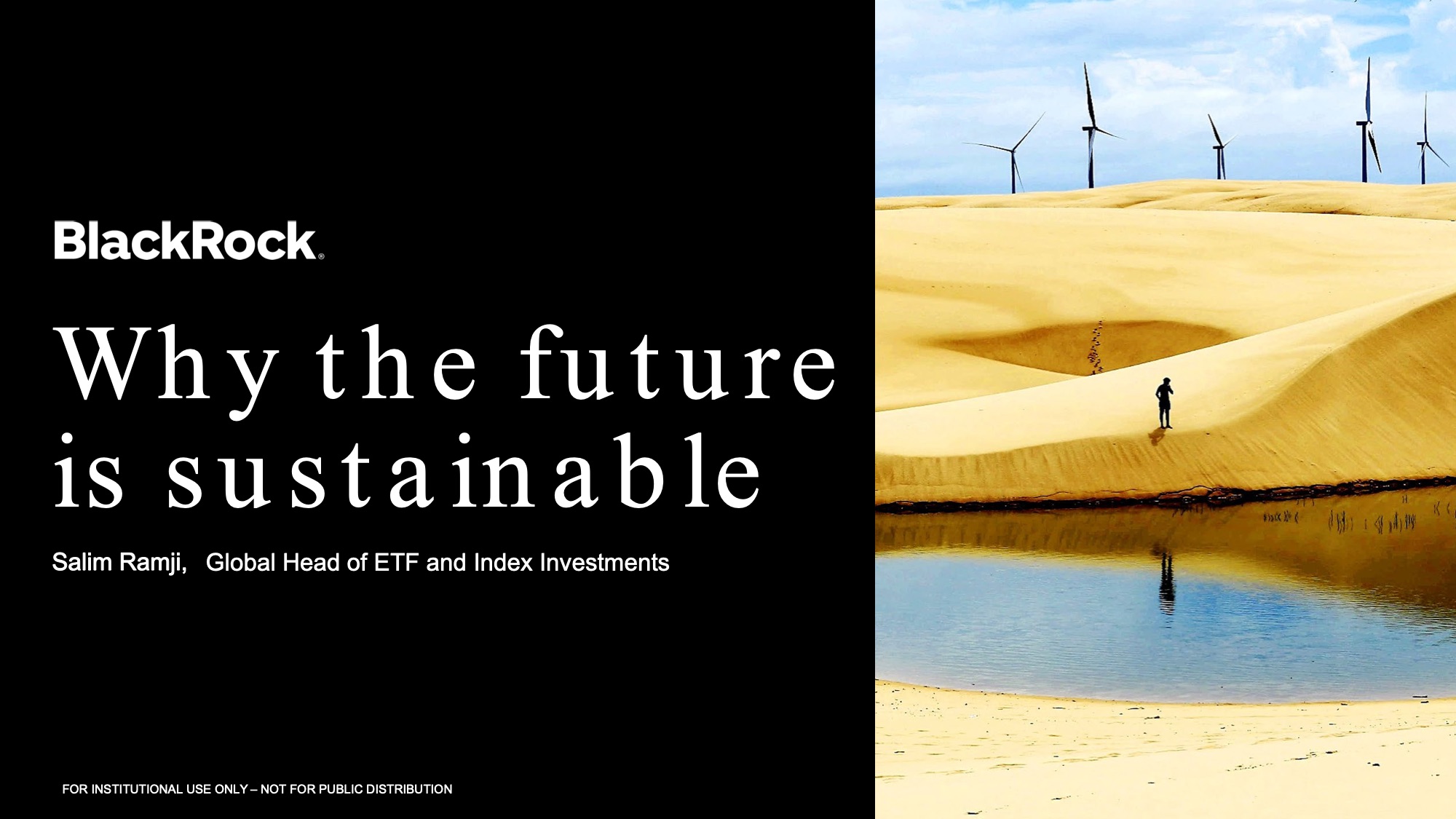 「Why the future is sustainable?」（社会的インパクト投資フォーラム プレゼンテーション資料）